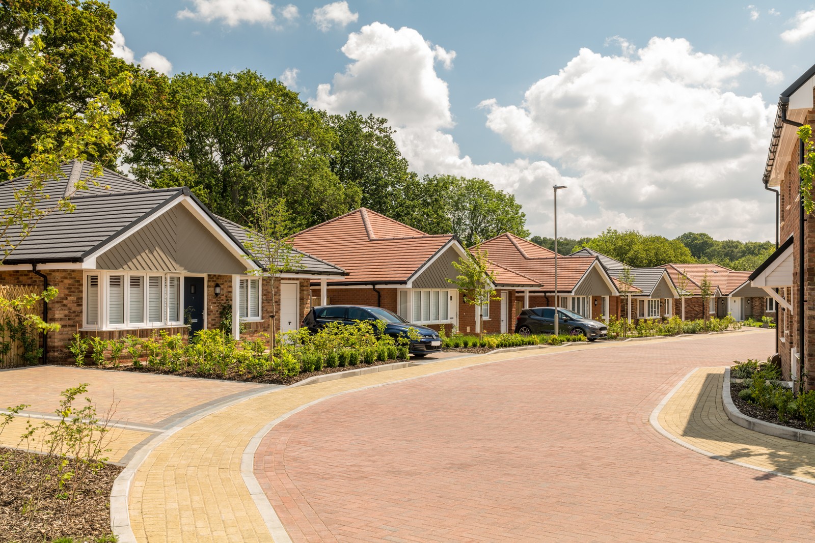 Row of bungalows on a street with trees in the background